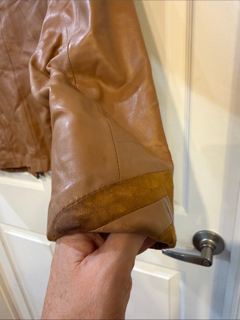 Leather Zip-Front Jacket in Tan - Picture 6 of 10